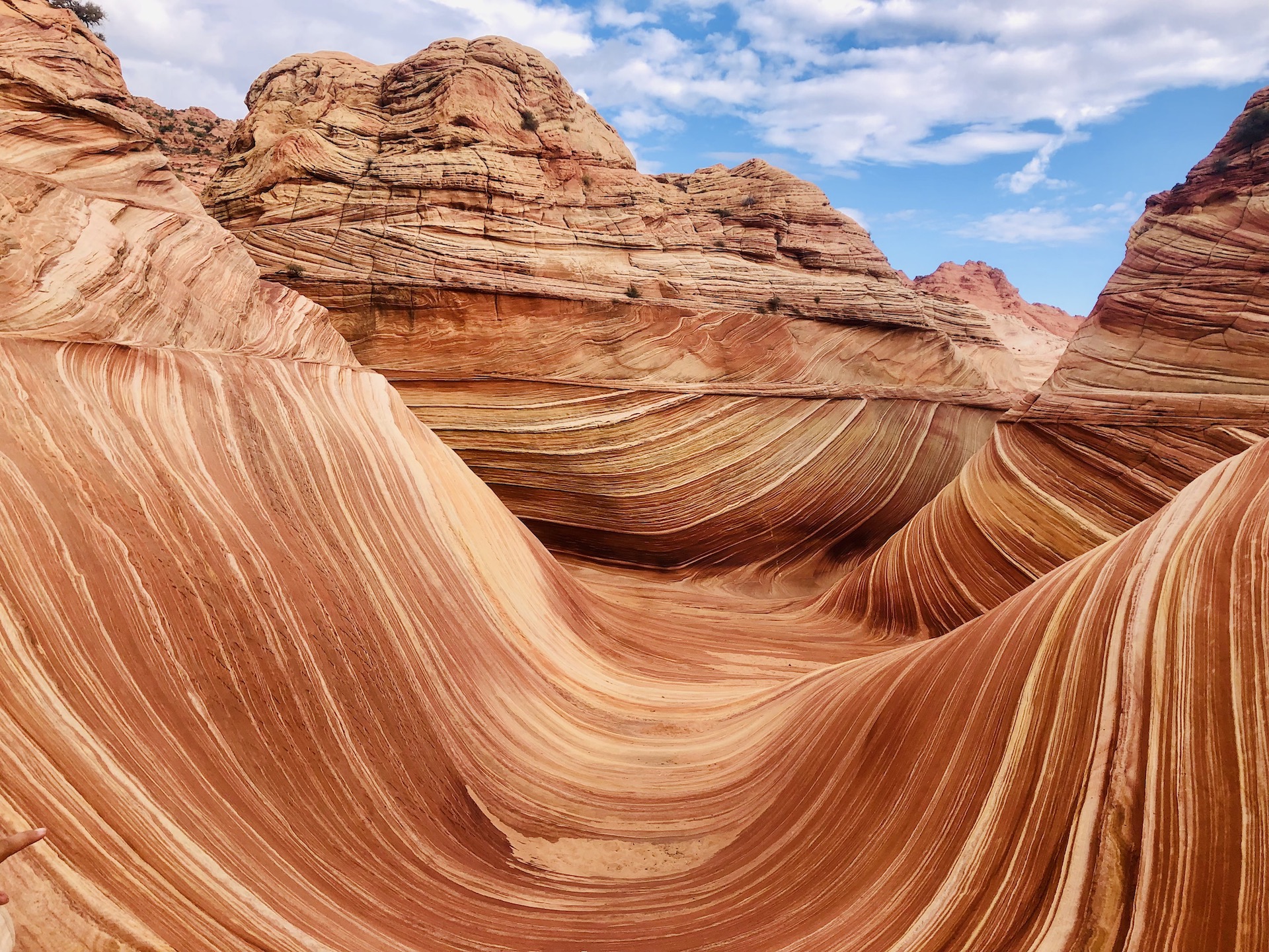 Paria Canyon-Vermilion Cliffs Wilderness: The Wave – Pick-up and a Pop-up